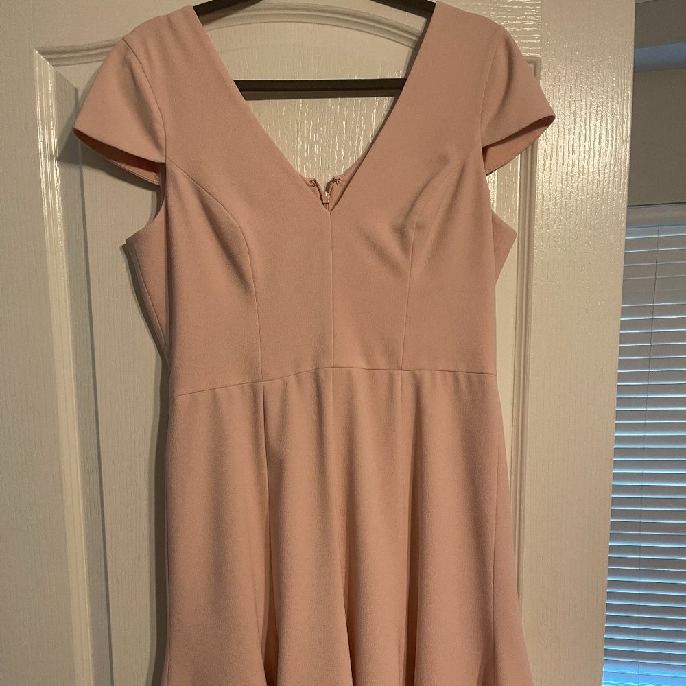 Soft Pink Dress the Population Cocktail Dress With Asymmetrical Hem